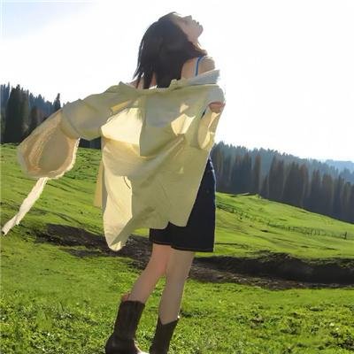 凤舞花飞